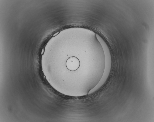 X0000113230688200910221039