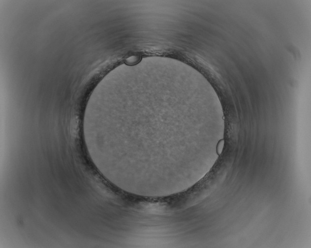 X0000113230689200910221039