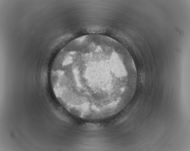 X0000113230690200910221039