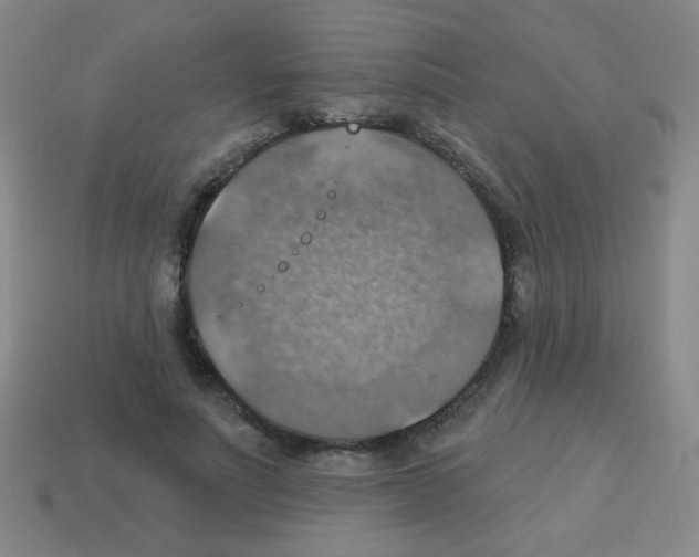 X0000113230691200910221039