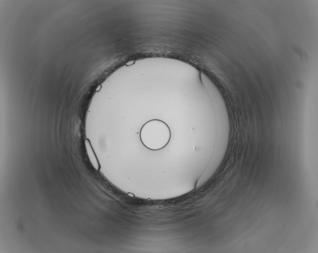 X0000113230692200910221039