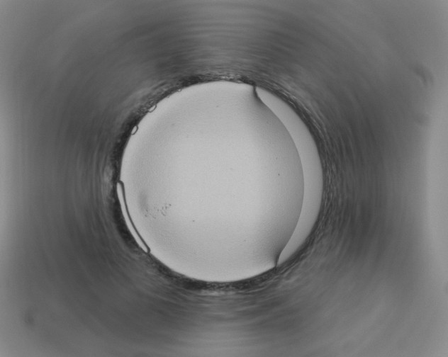 X0000113230693200910221039