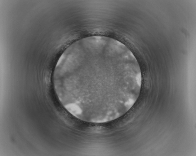 X0000113230695200910221039