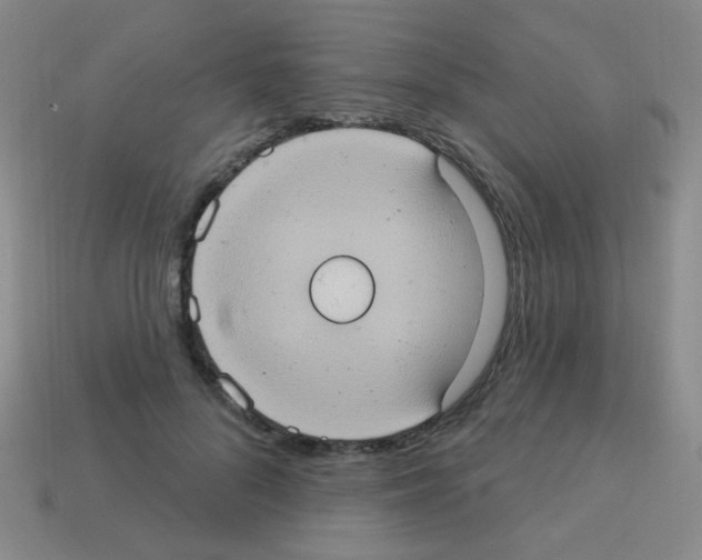 X0000113230696200910221039