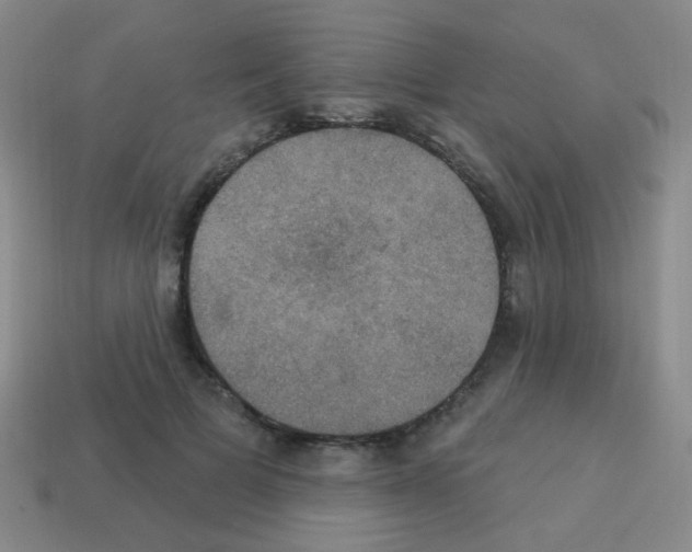 X0000113230697200910221039