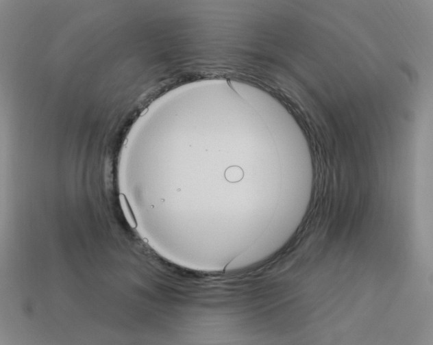 X0000113230700200910221039