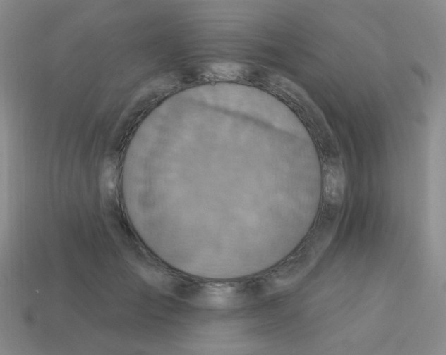 X0000113230701200910221039