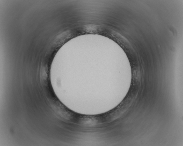 X0000113230702200910221039