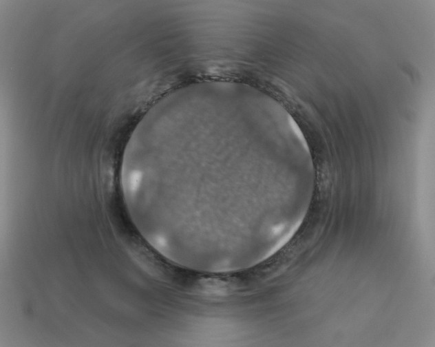 X0000113230703200910221039