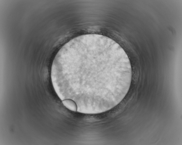 X0000113230704200910221039