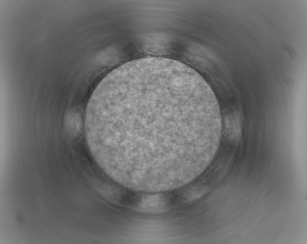 X0000113230705200910221039