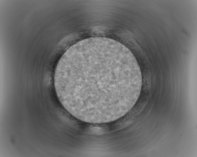 X0000113230706200910221039