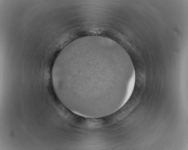 X0000113230707200910221039