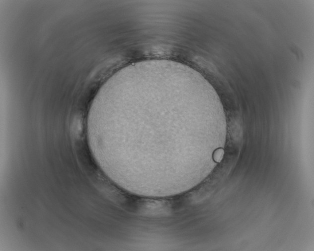 X0000113230709200910221039