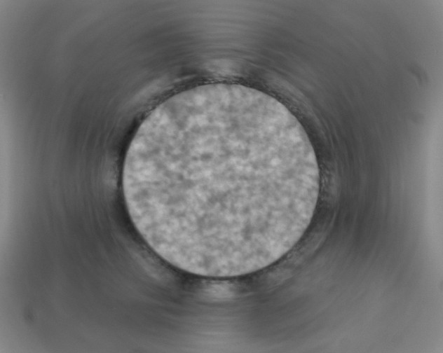 X0000113230710200910221039