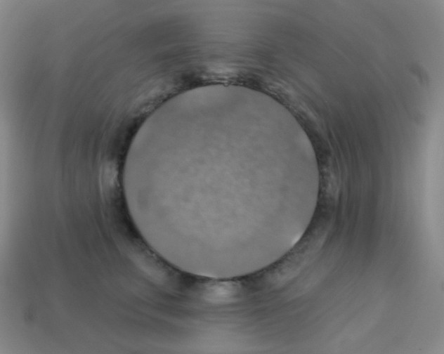 X0000113230711200910221039