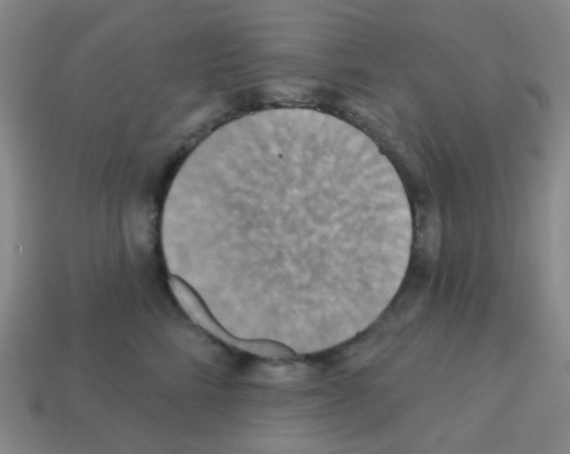 X0000113230712200910221039