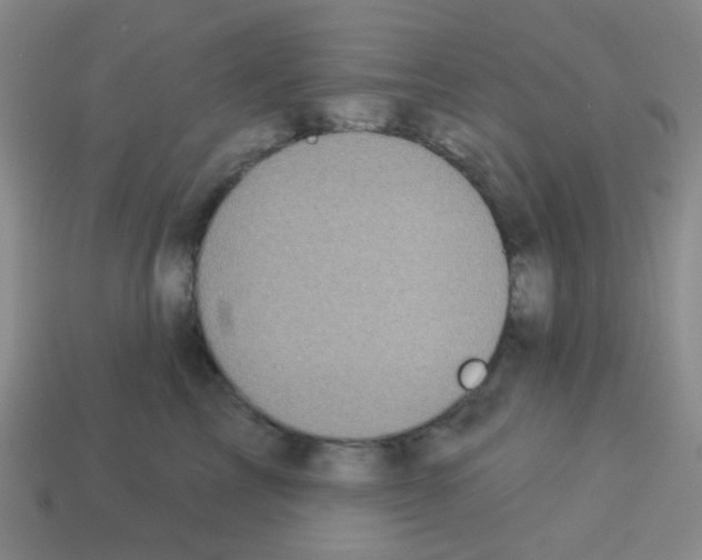 X0000113230713200910221039