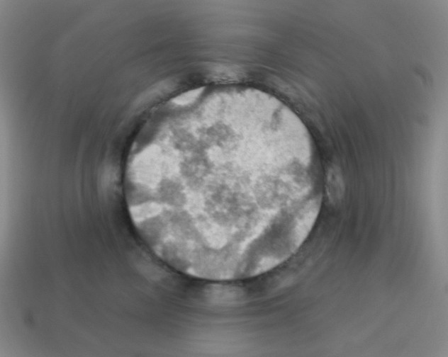 X0000113230714200910221039