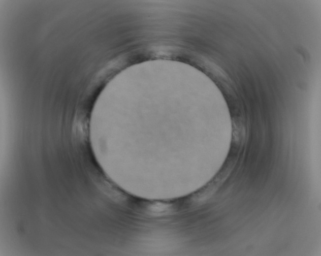 X0000113230718200910221039