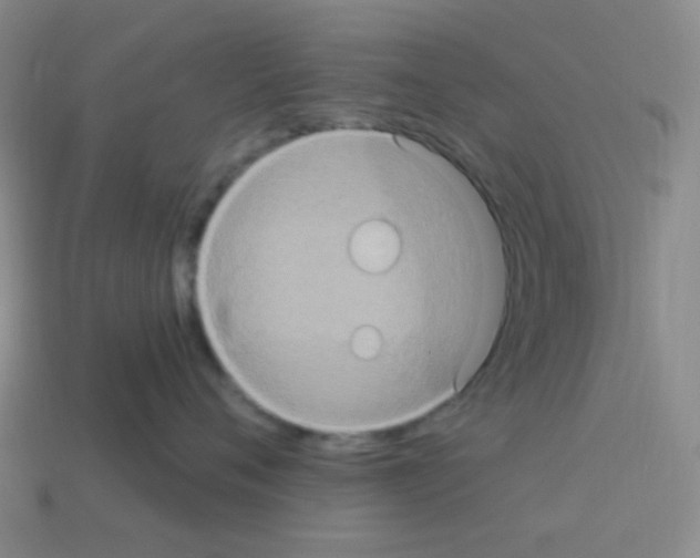 X0000113230720200910221039