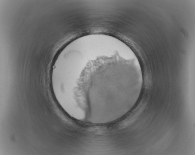 X0000113230721200910221038