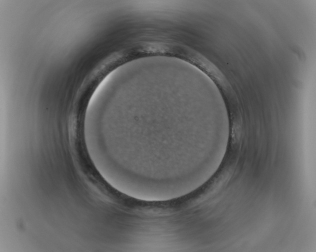 X0000113230722200910221038