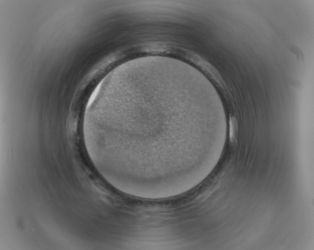 X0000113230723200910221038