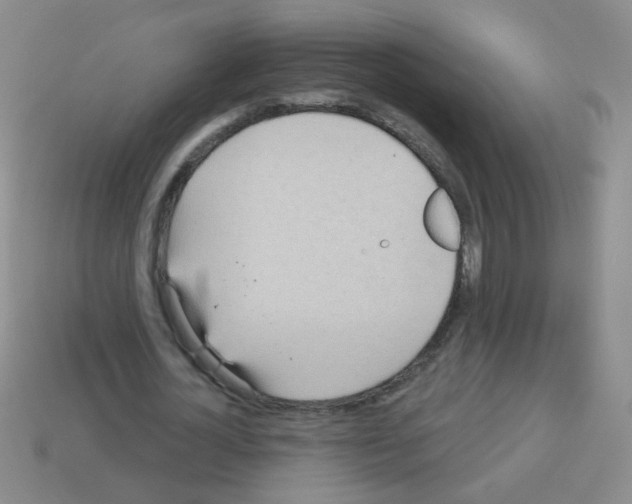 X0000113230724200910221038