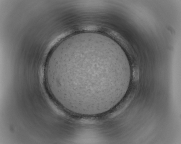 X0000113230725200910221039