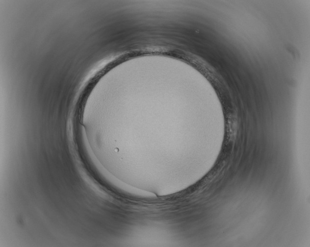 X0000113230726200910221039