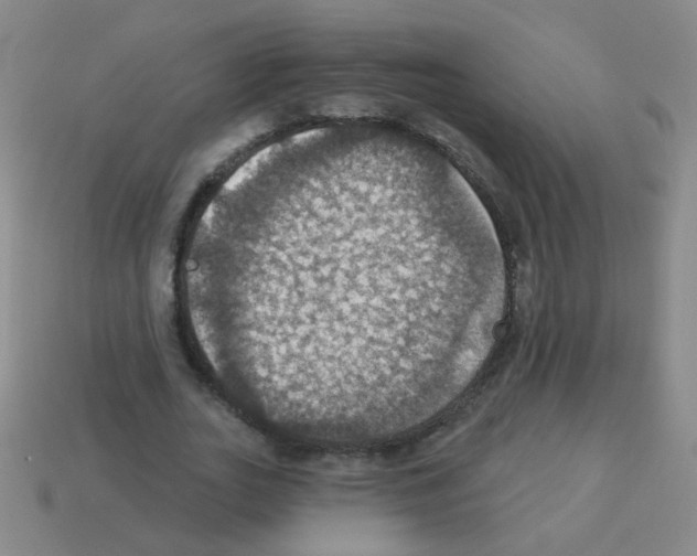 X0000113230727200910221039