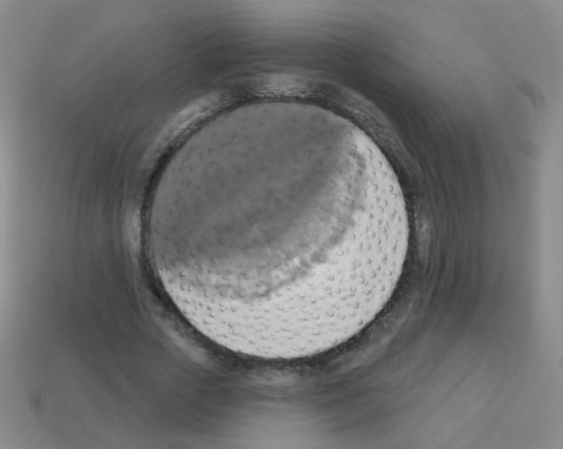 X0000113230729200910221039