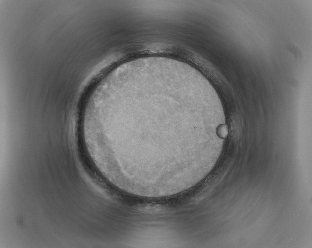 X0000113230730200910221039