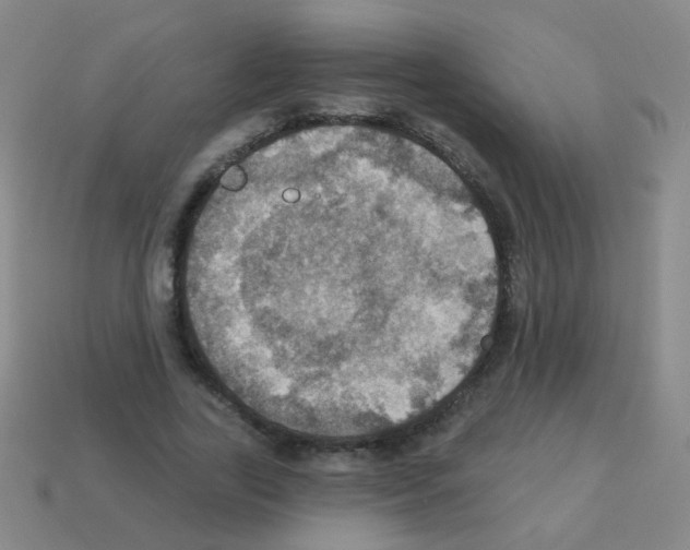 X0000113230731200910221039