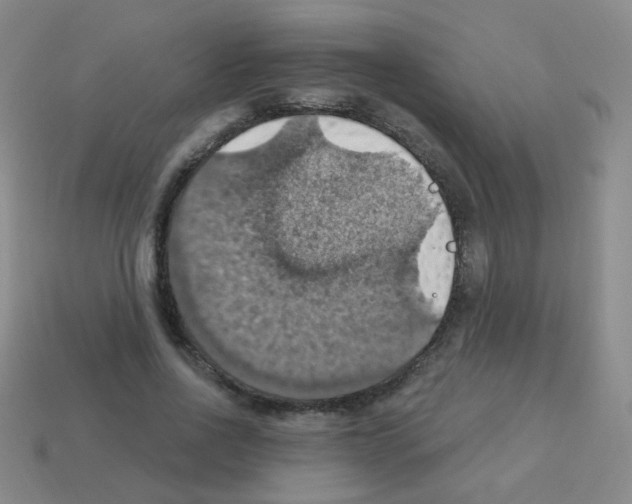 X0000113230734200910221039