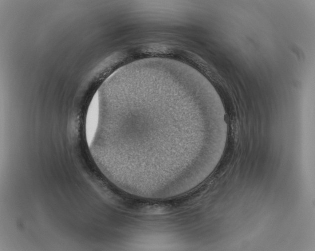 X0000113230735200910221039