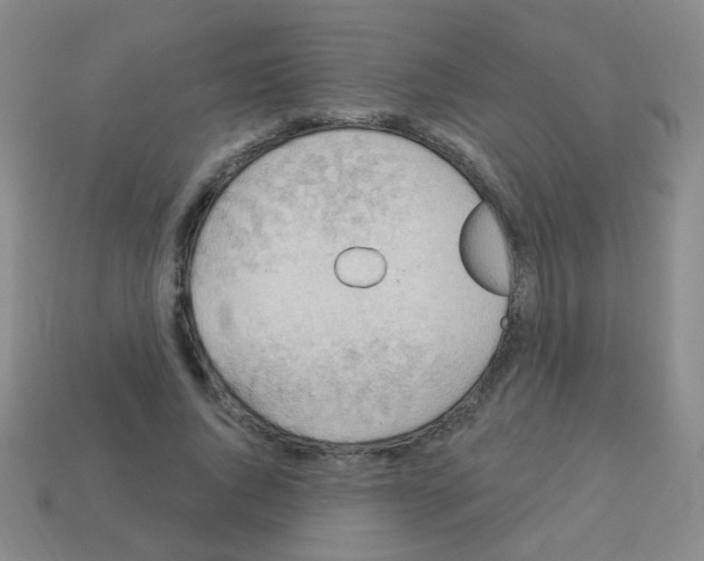 X0000113230736200910221039