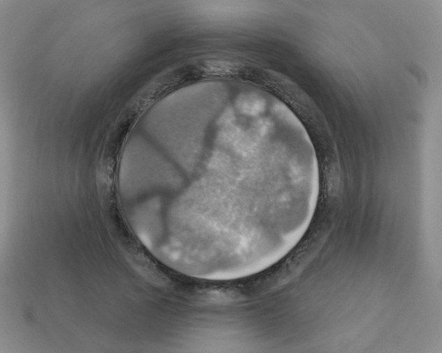 X0000113230737200910221039