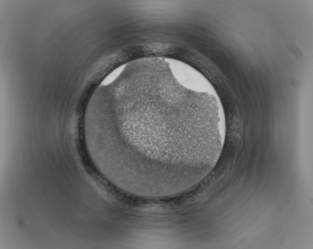 X0000113230738200910221039