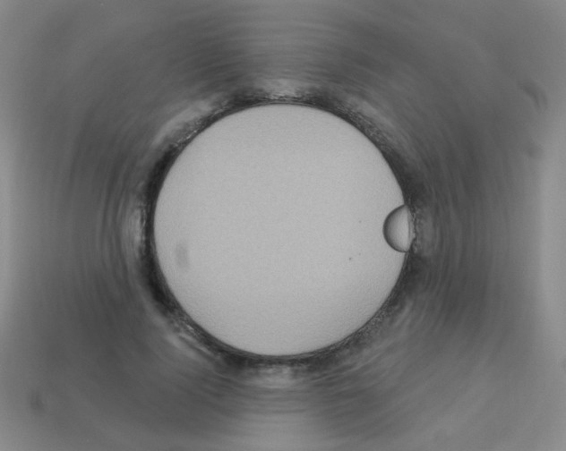 X0000113230740200910221039