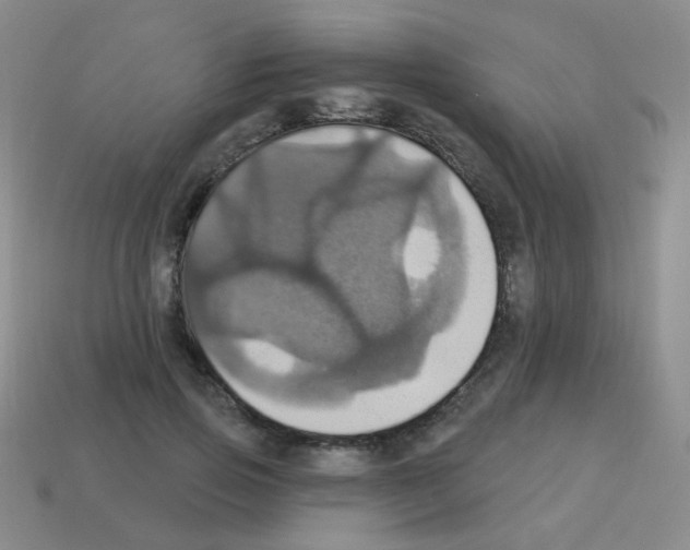 X0000113230741200910221039