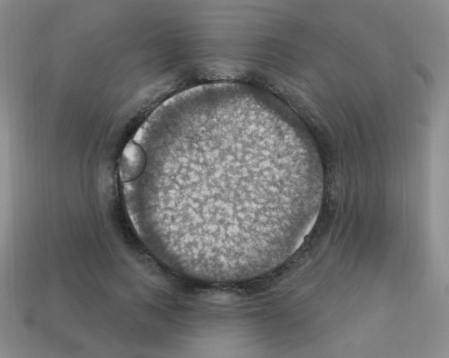 X0000113230743200910221039