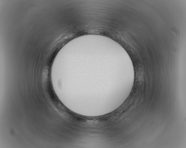 X0000113230744200910221039