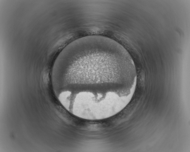 X0000113230746200910221039