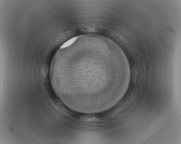 X0000113230747200910221039