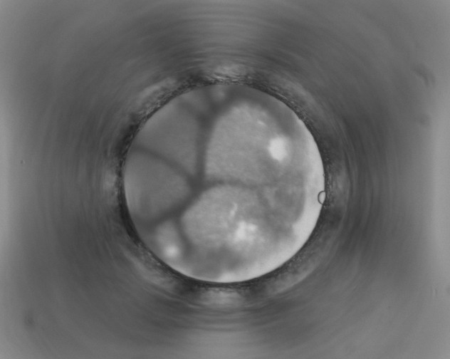 X0000113230749200910221039