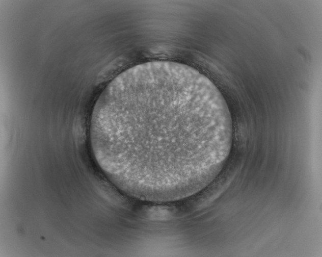 X0000113230751200910221039