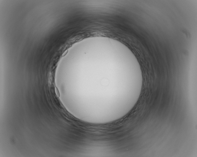 X0000113230752200910221039