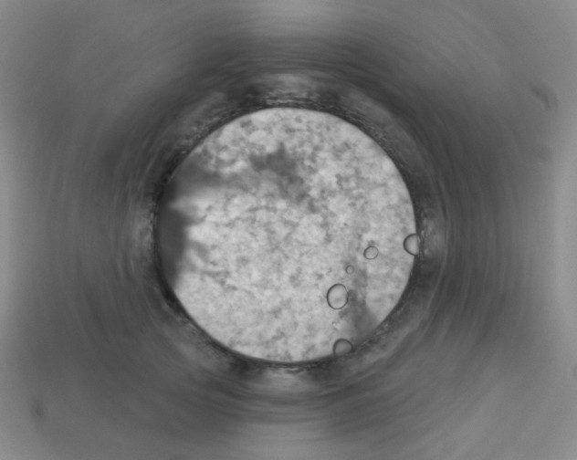 X0000113230753200910221039